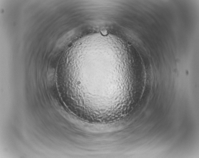 X0000056030034200508191403