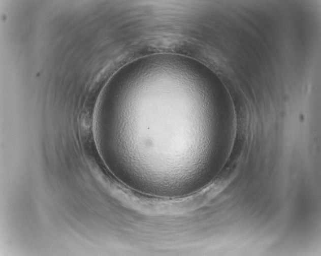 X0000056030040200508191403