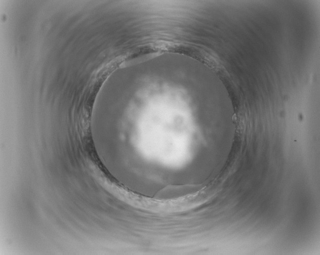 X0000056030043200508191403