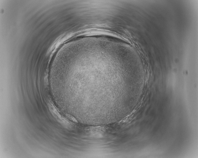 X0000056030050200508191402