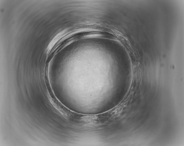 X0000056030051200508191402