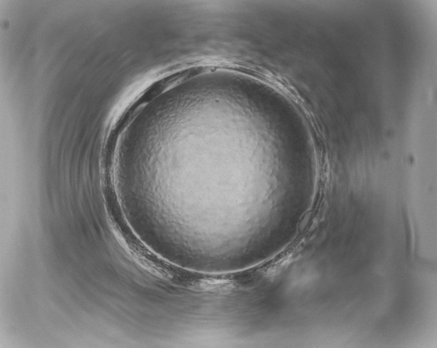 X0000056030055200508191402