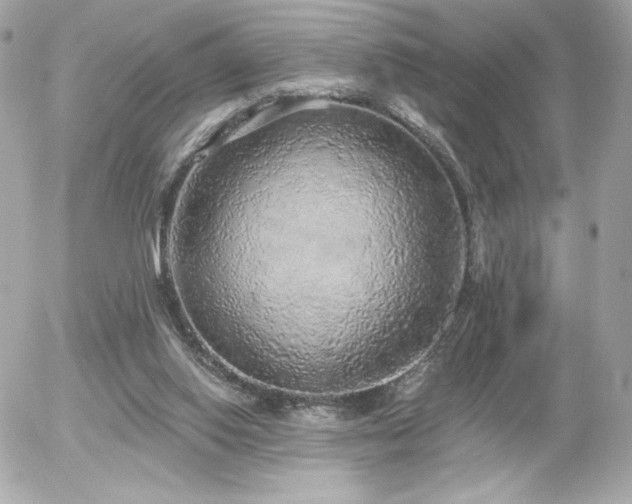X0000056030062200508191403