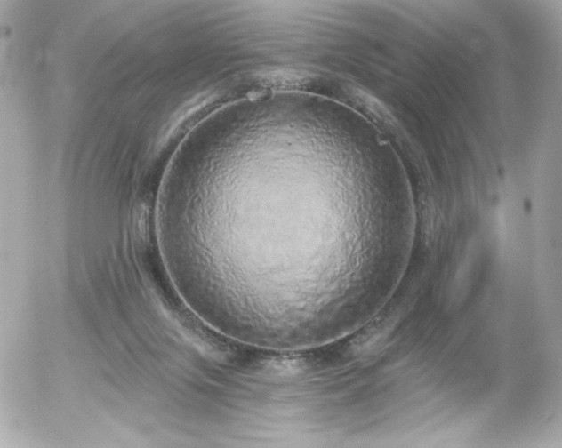 X0000056030071200508191403
