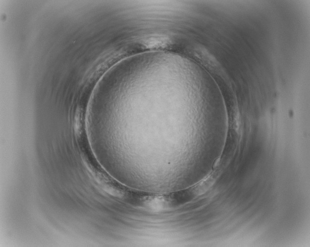 X0000056030074200508191403