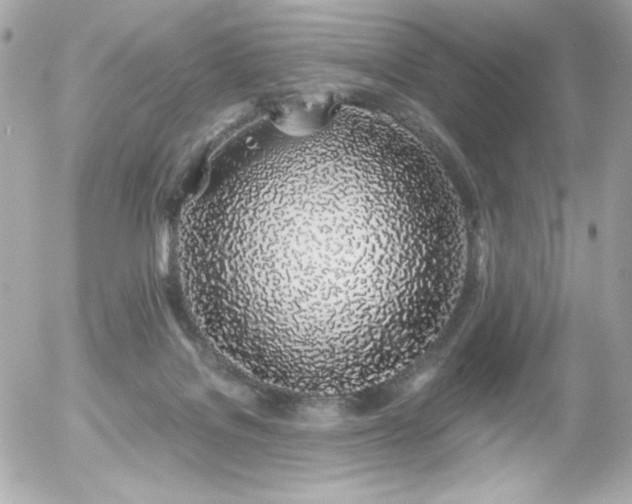 X0000056030076200508191403