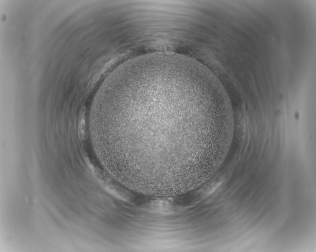 X0000056030080200508191403