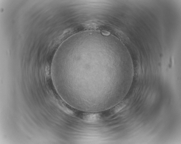 X0000056030081200508191403