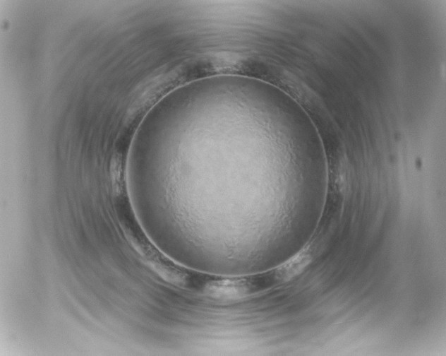 X0000056030082200508191403