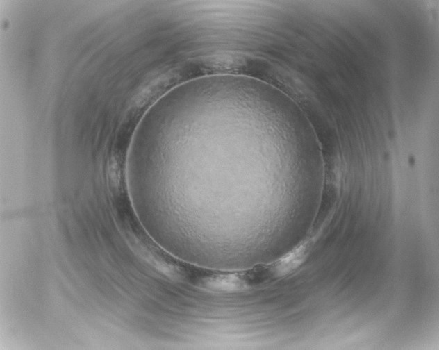 X0000056030086200508191403