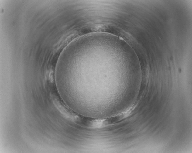 X0000056030090200508191403