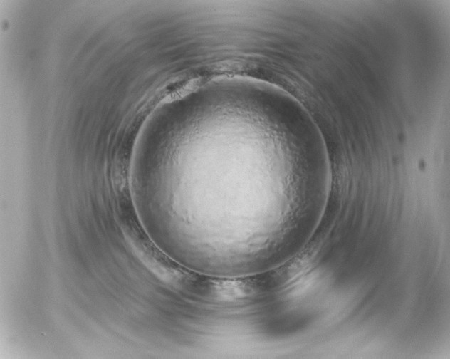 X0000056030091200508191403