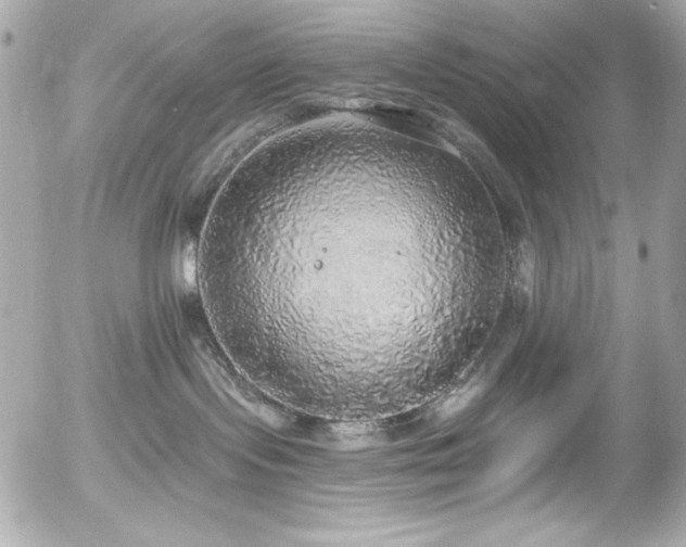 X0000056030095200508191403