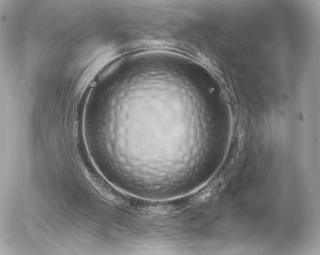 X0000056030103200508191402