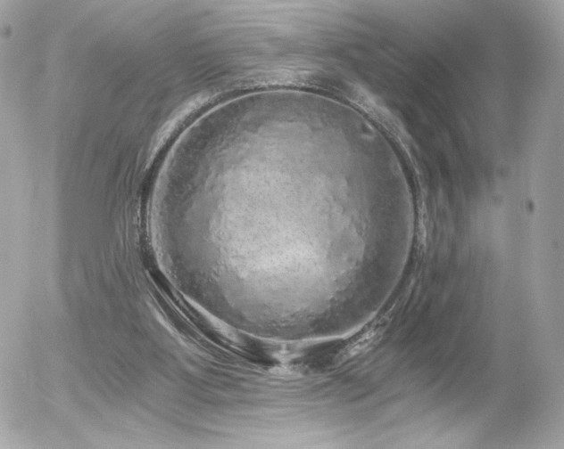 X0000056030107200508191402