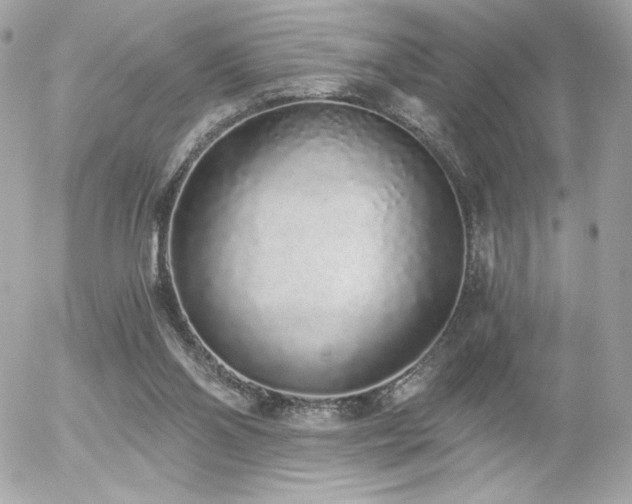 X0000056030110200508191402