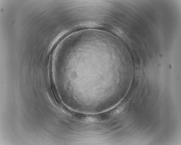 X0000056030111200508191402