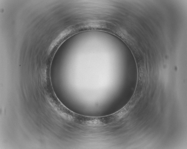 X0000056030112200508191402