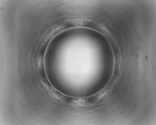 X0000056030125200508191402