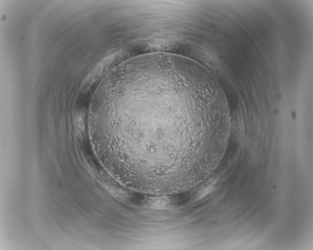 X0000056030127200508191402
