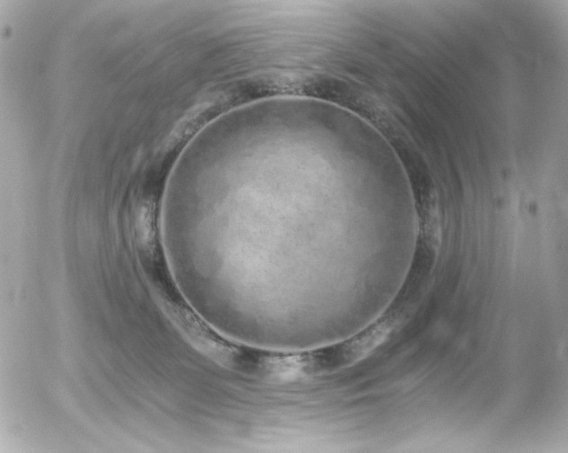 X0000056030131200508191402