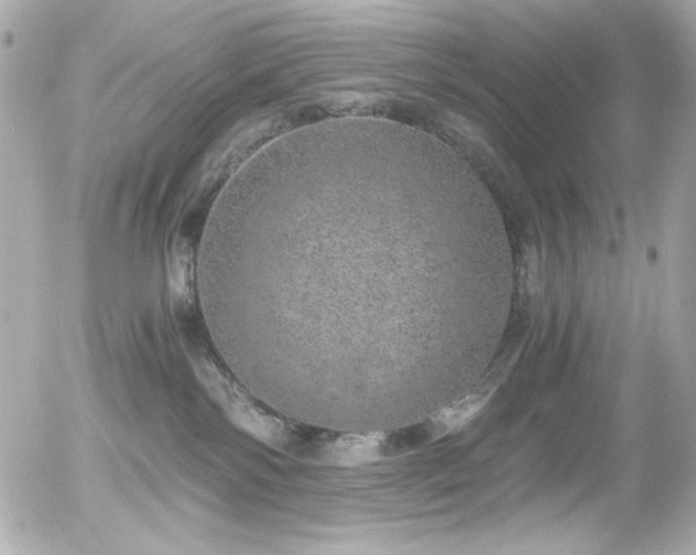 X0000056030138200508191402