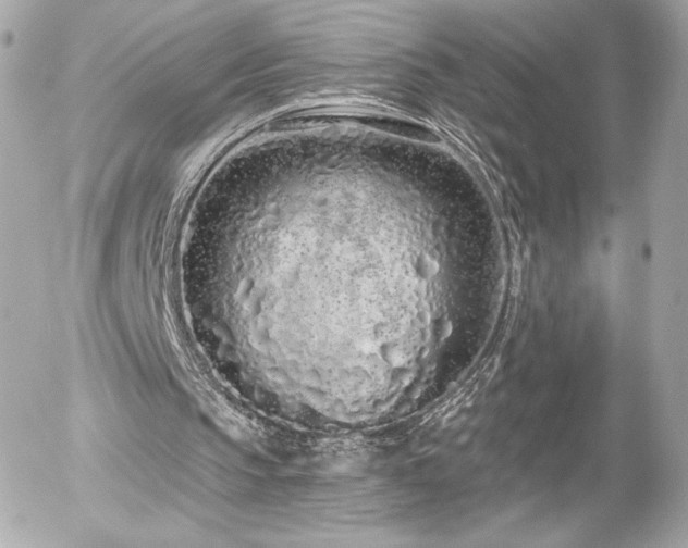 X0000056030145200508191401