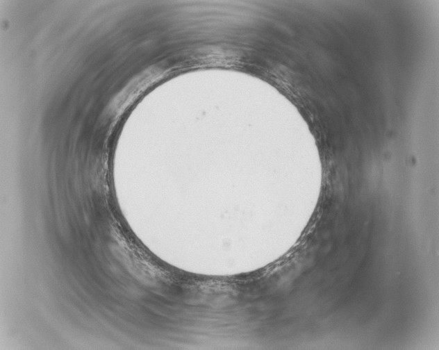 X0000056030146200508191401