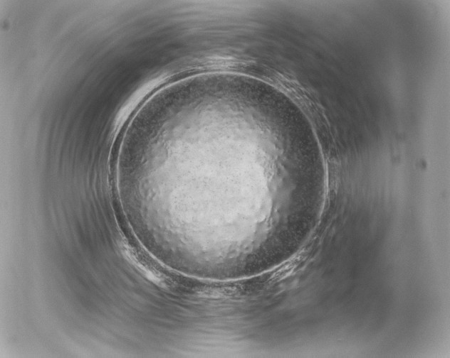 X0000056030147200508191401