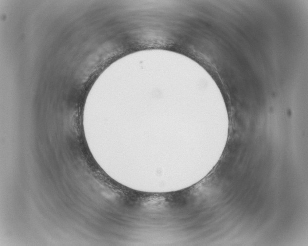 X0000056030162200508191401