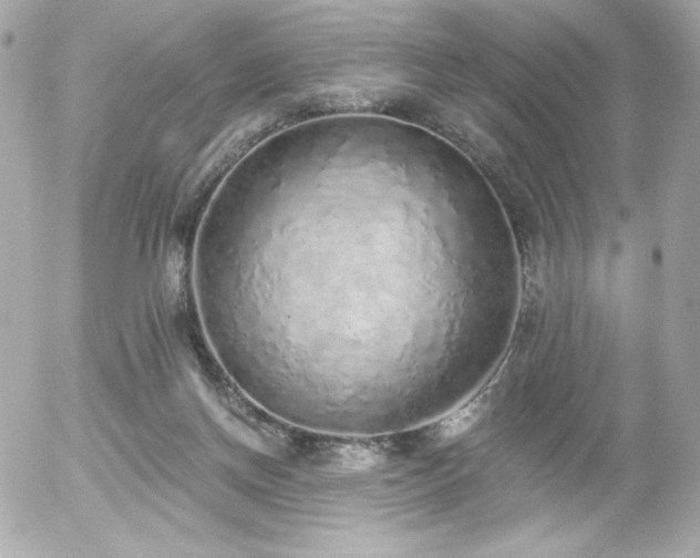 X0000056030166200508191401