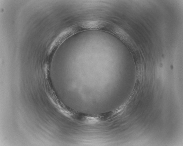 X0000056030167200508191401