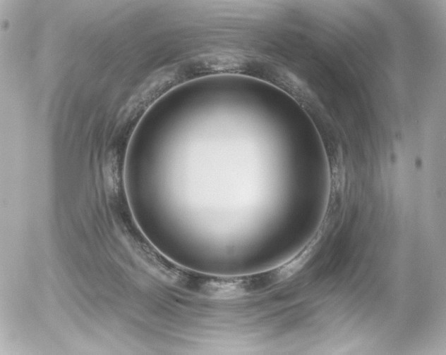 X0000056030170200508191401