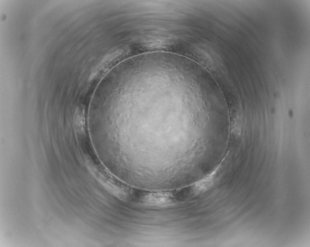 X0000056030179200508191401
