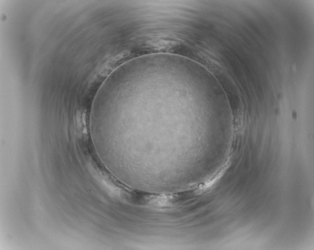 X0000056030182200508191401