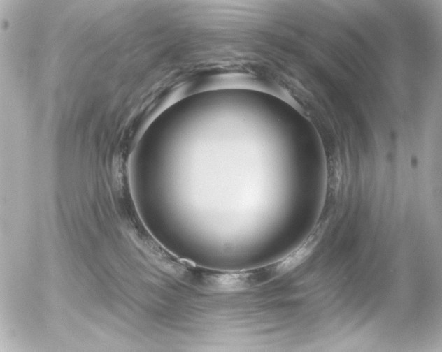 X0000056030184200508191401