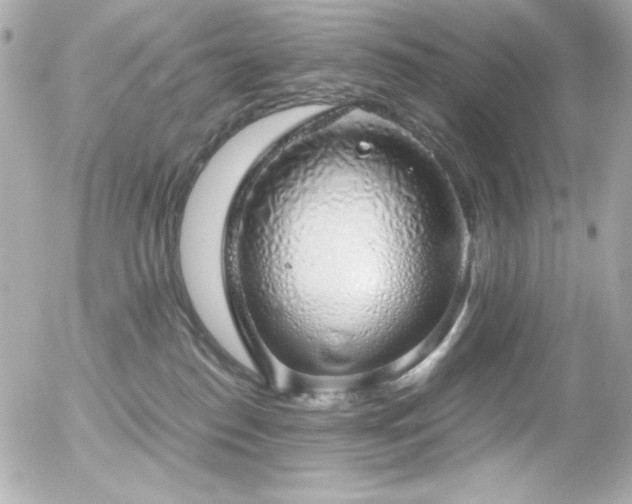 X0000056030186200508191401