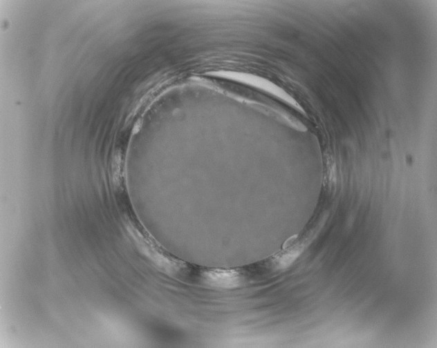 X0000056030189200508191401