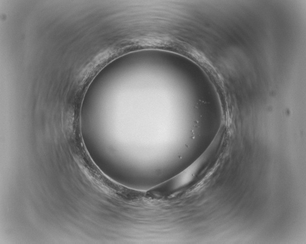 X0000056030201200508191401