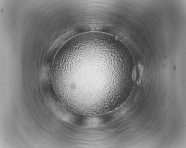 X0000056030218200508191400