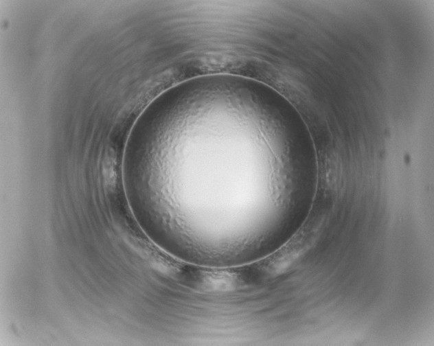 X0000056030226200508191400
