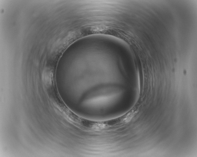 X0000056030227200508191400