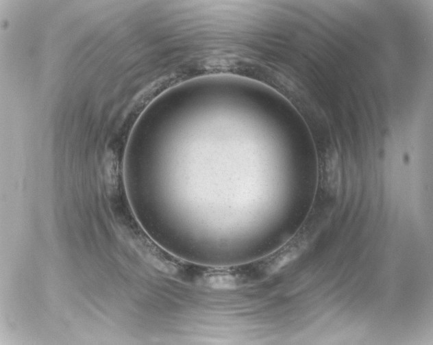 X0000056030228200508191400