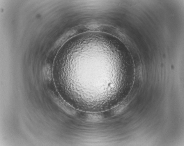 X0000056030234200508191400