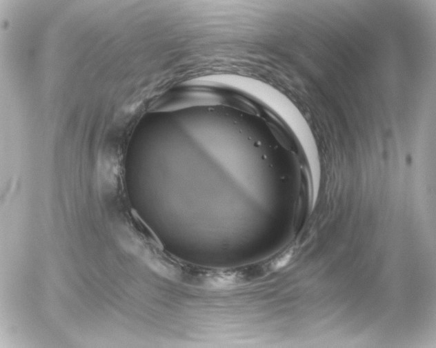 X0000056030235200508191400