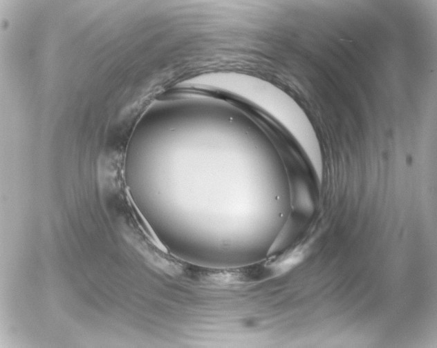 X0000056030237200508191400