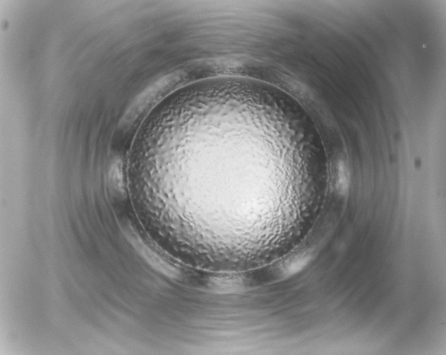 X0000056030238200508191400