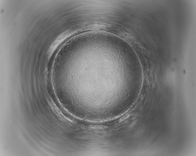 X0000056030242200508191359