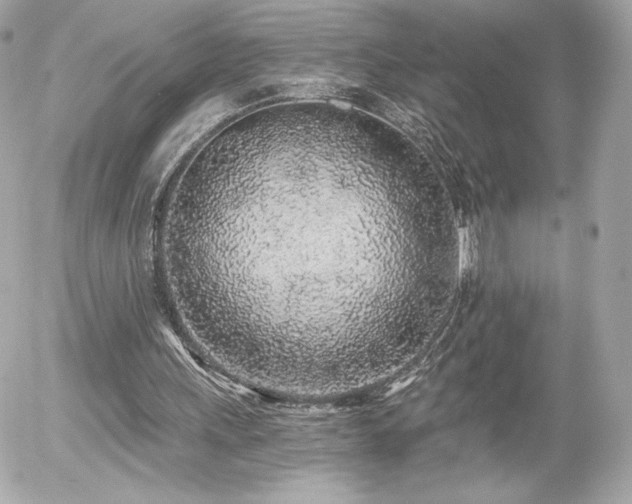 X0000056030243200508191359