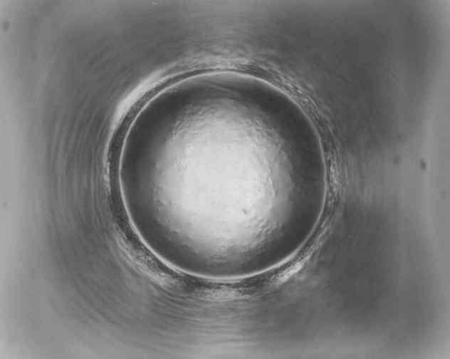 X0000056030246200508191359